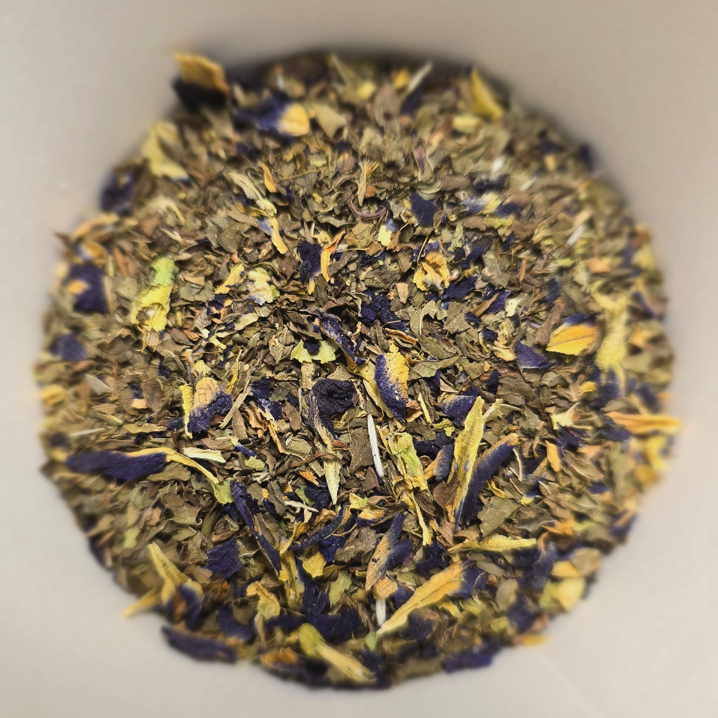 Favorite Things Bundle