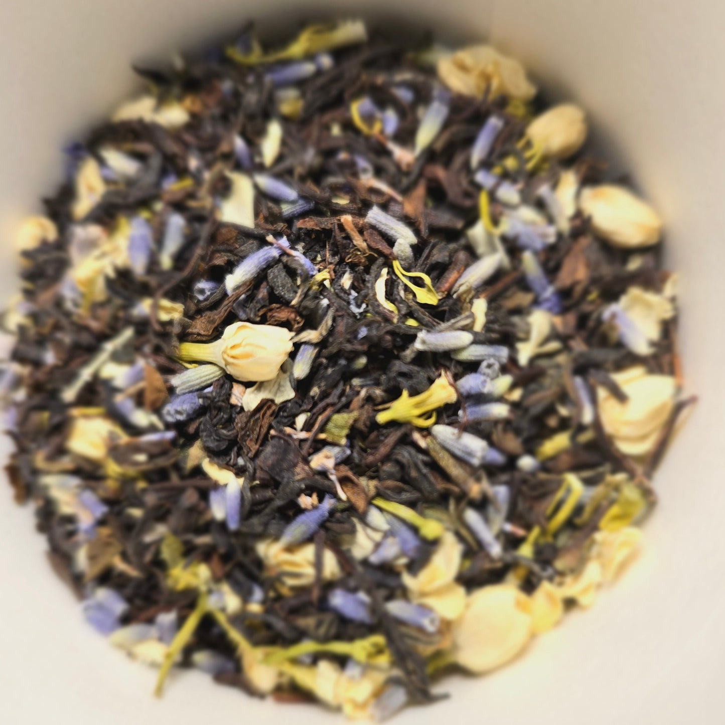 Favorite Things Bundle