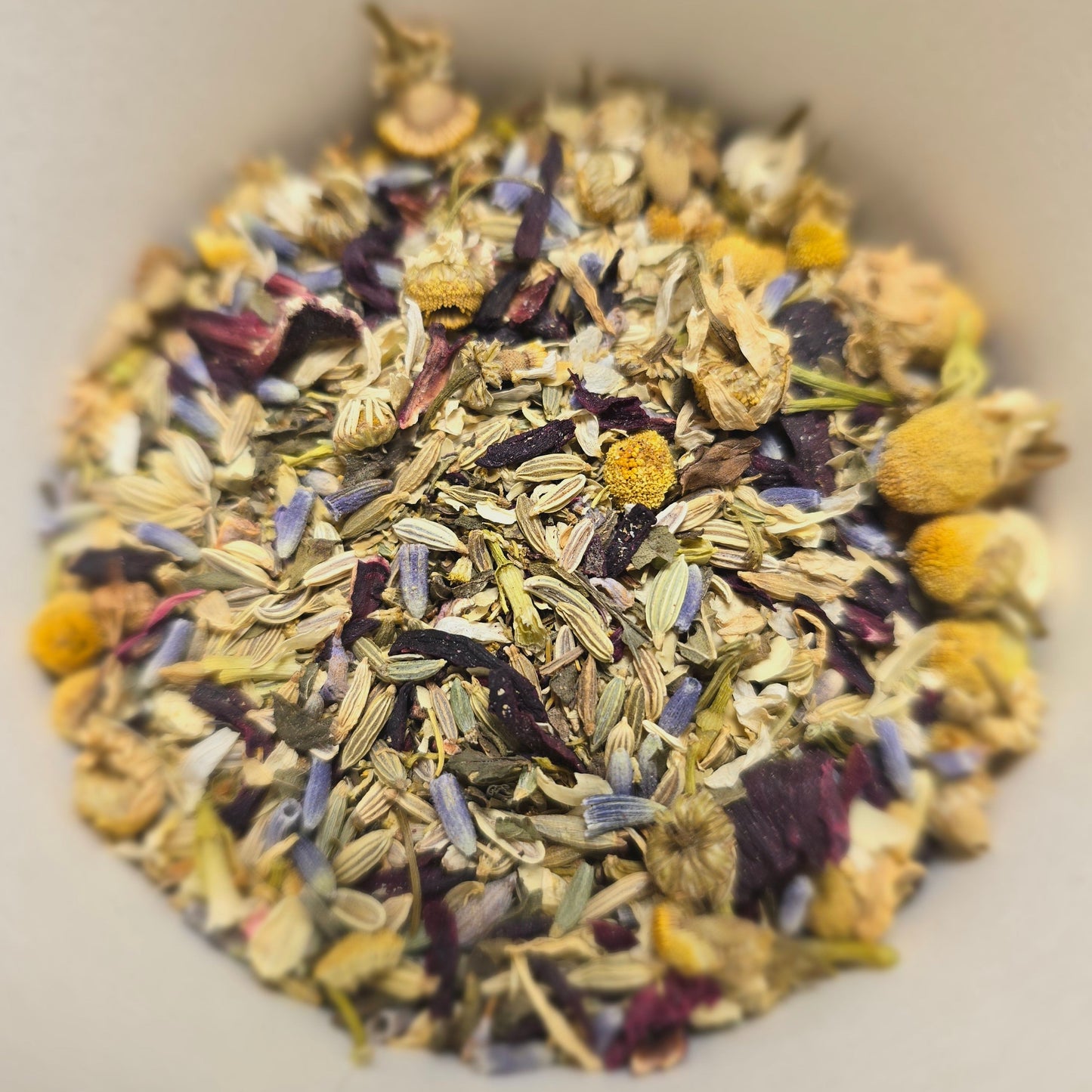 Favorite Things Bundle